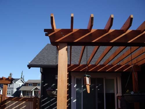 Cedar arbor