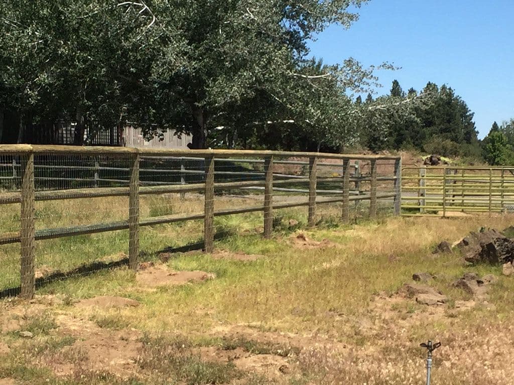 Photo of ranch style fence with weld wire mesh screen.
