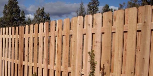 Cedar Fencing