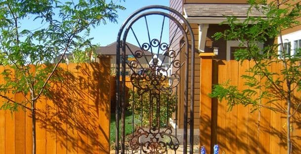Ornamental