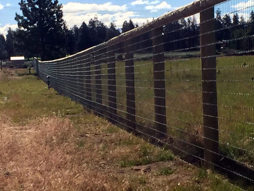 Photo of pasture fence with mesh screen.