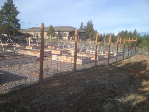Photo of 8ft deer fencing